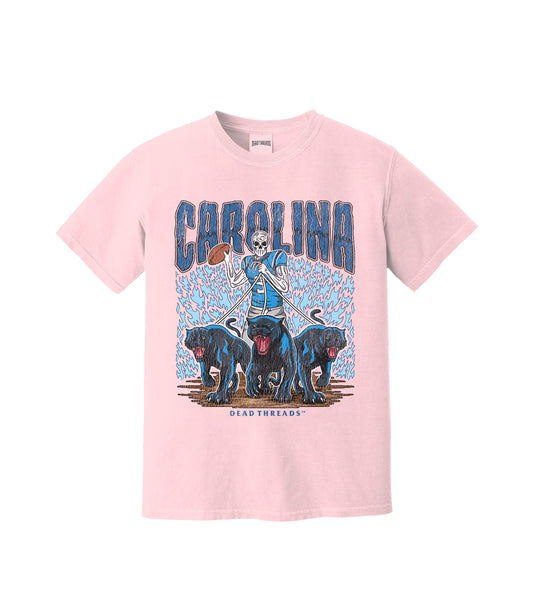 CAROLINA FOOTBALL - PINK