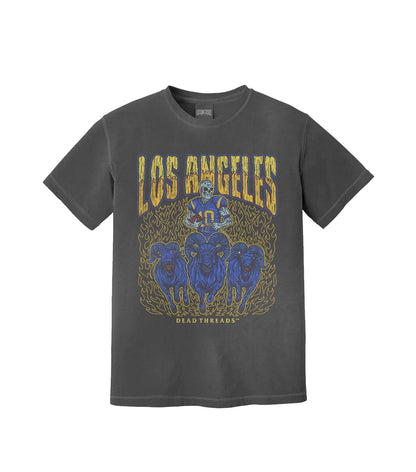 LOS ANGELES FOOTBALL