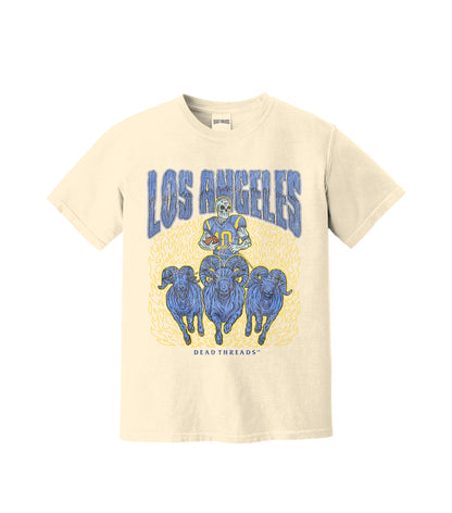 LOS ANGELES FOOTBALL