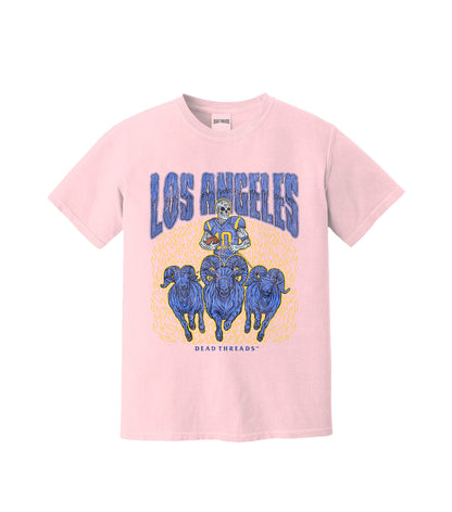 LOS ANGELES FOOTBALL - PINK