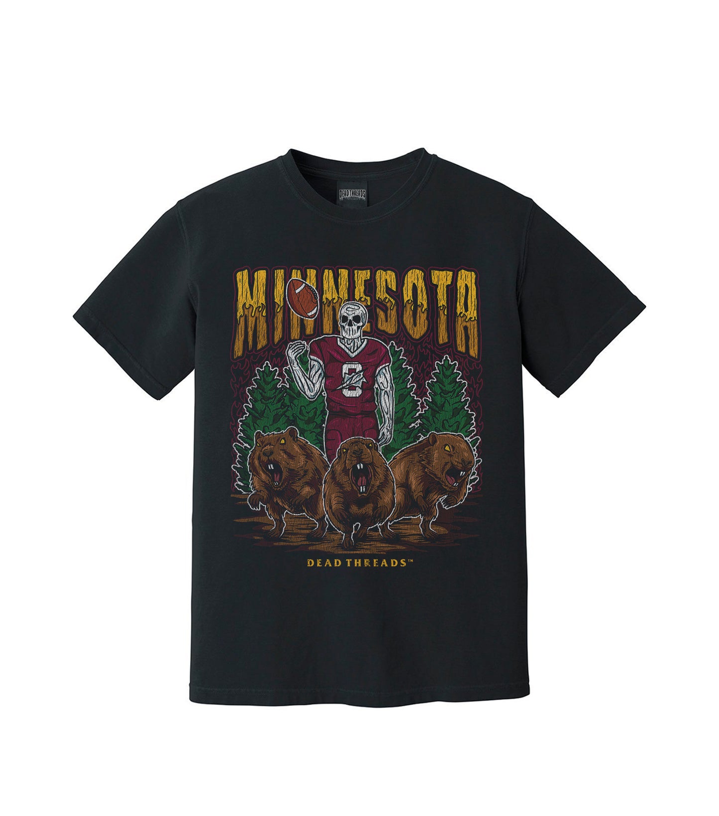 MINNESOTA FOOTBALL