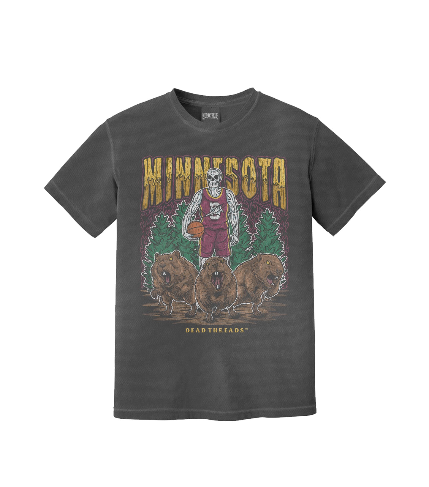 MINNESOTA BASKETBALL