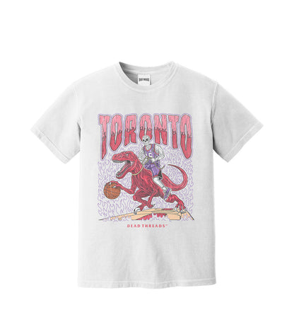 TORONTO BASKETBALL